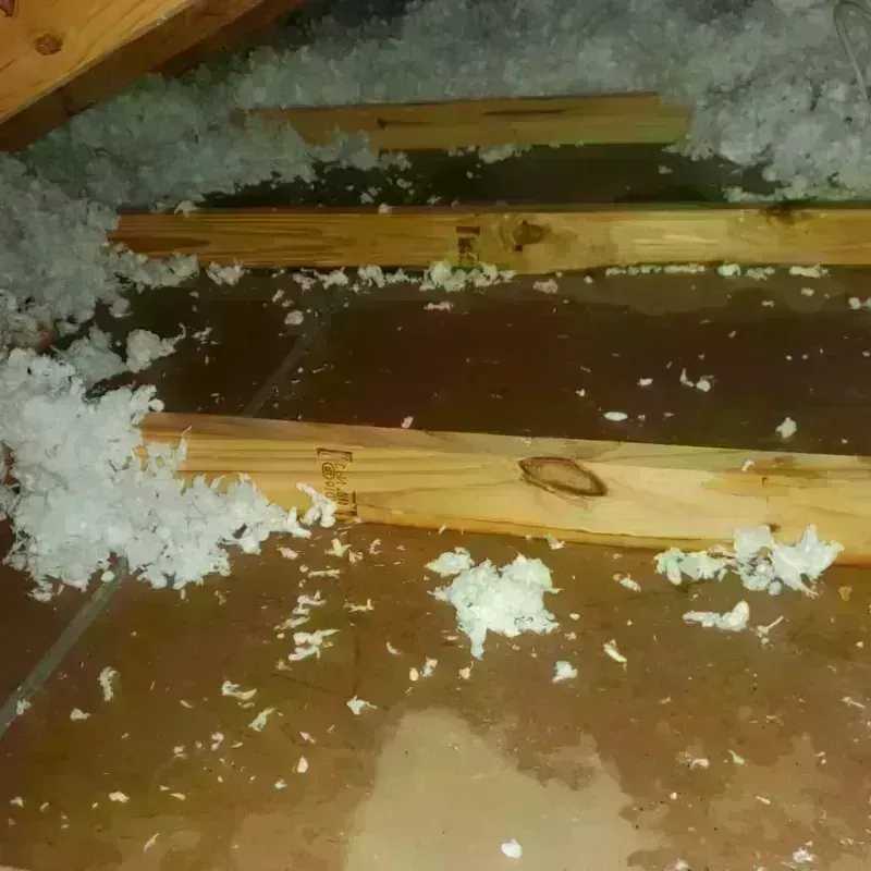 Attic Water Damage in Eastlake, OH