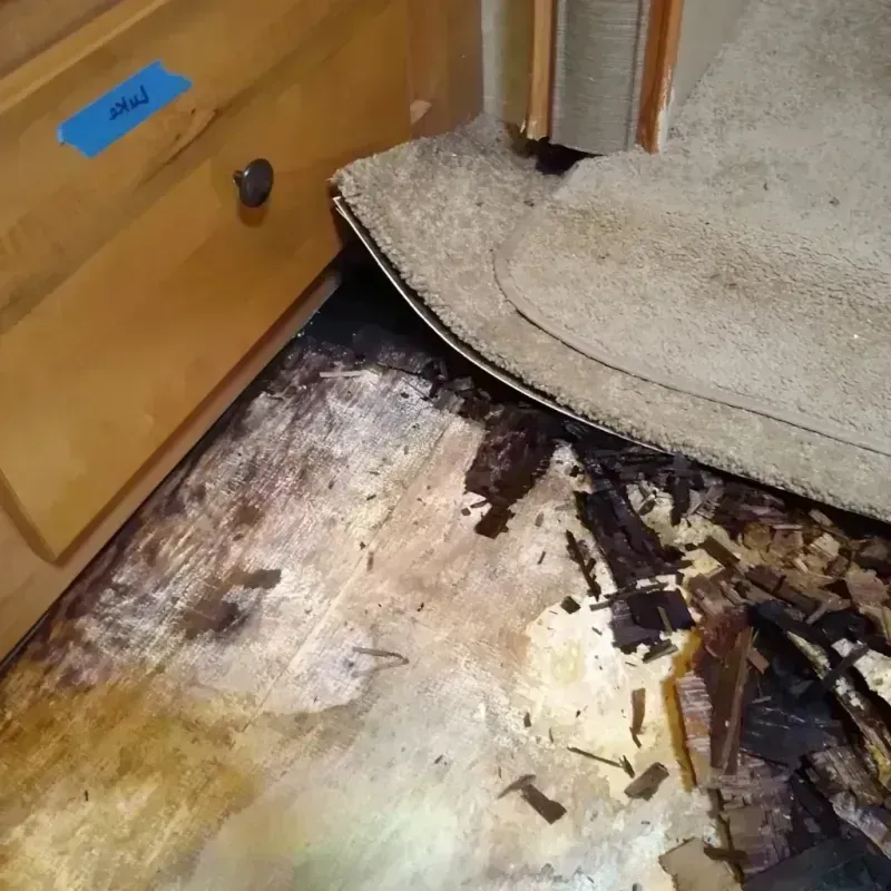 Best Wood Floor Water Damage Service in Eastlake, OH